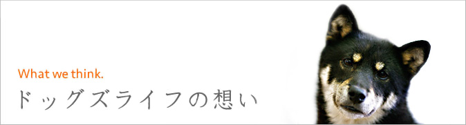 犬用鹿肉ジャーキー、ドックフード