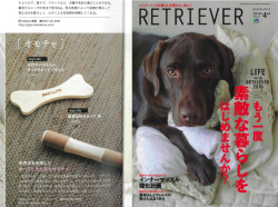 RETRIEVER