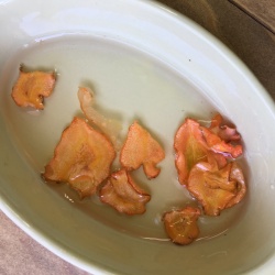 にんじんの葉っぱ農園