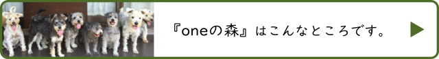 oneの森 リンクボタン