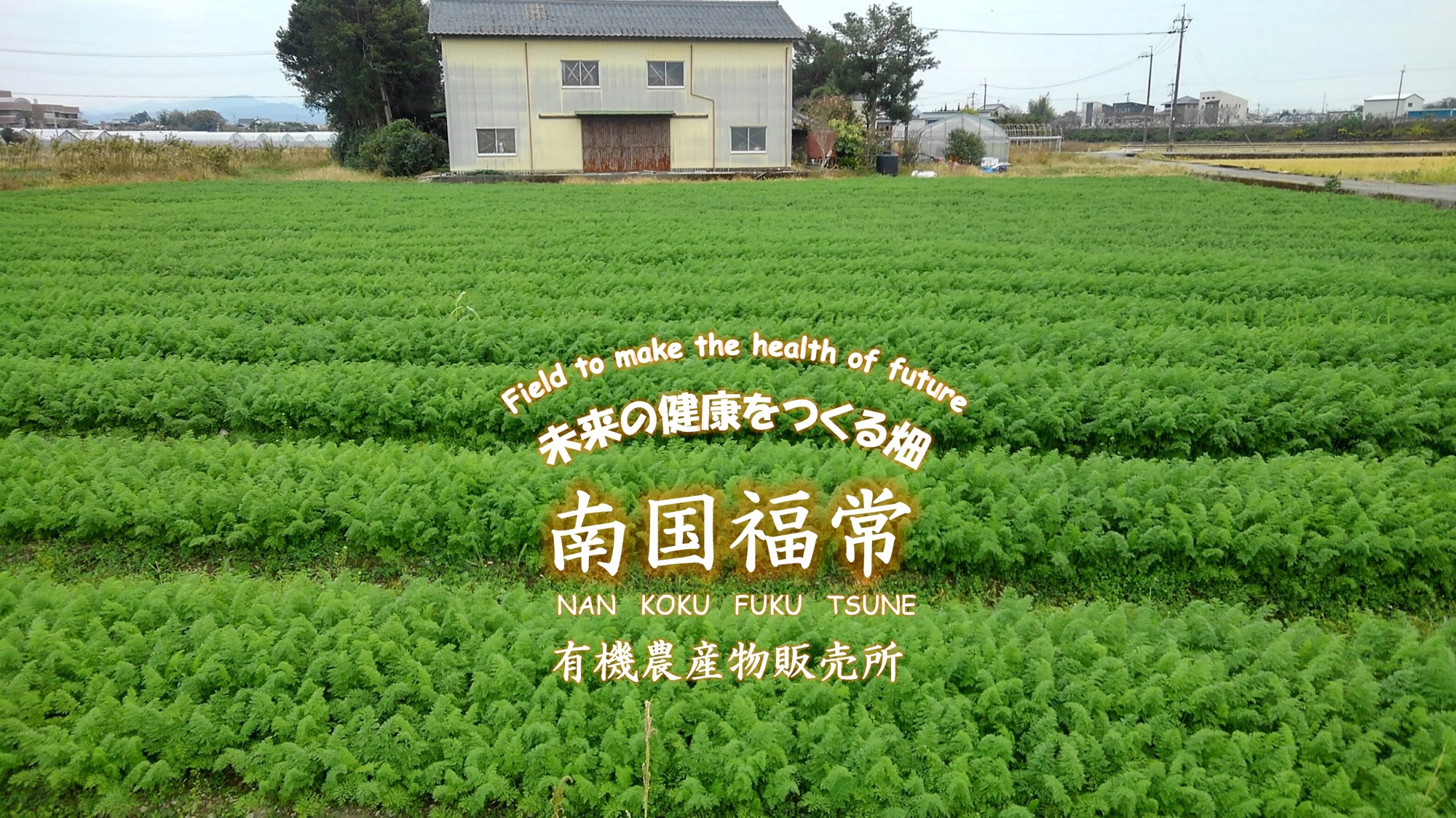 にんじんふりかけ 農家