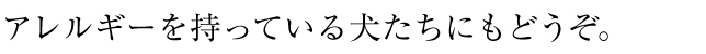 アレルギーを持っている犬たちにもどうぞ