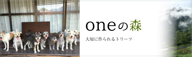 oneの森